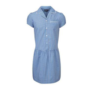 Summer Gingham Dress (Generic) 7-8 years