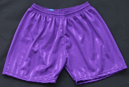 SALE PE Shorts 3-4 Purple