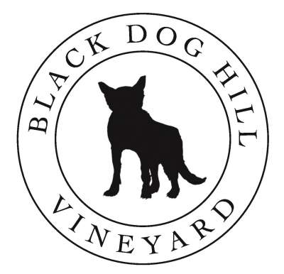 VINEYARD TOUR & WINE TASTING AT BLACK DOG HILL