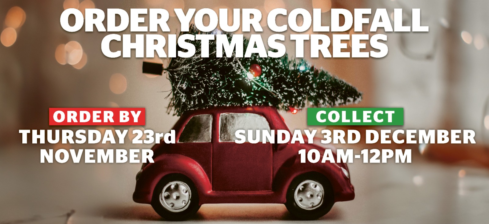 Collect your pre-ordered Coldfall Christmas Trees 