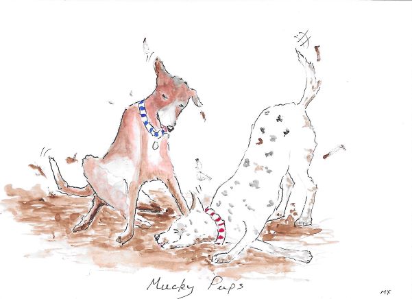 Auction Lot 42: Mucky Pups