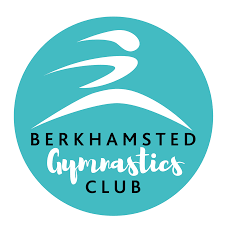 SUMMER CAMPS - 2 days at Berkhamsted Gymnastics' summer school
