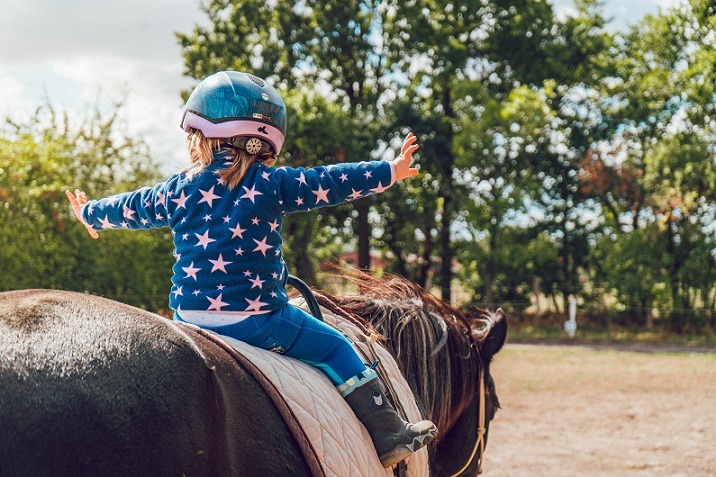 LOT 56: Riding Farm: Horse riding lesson