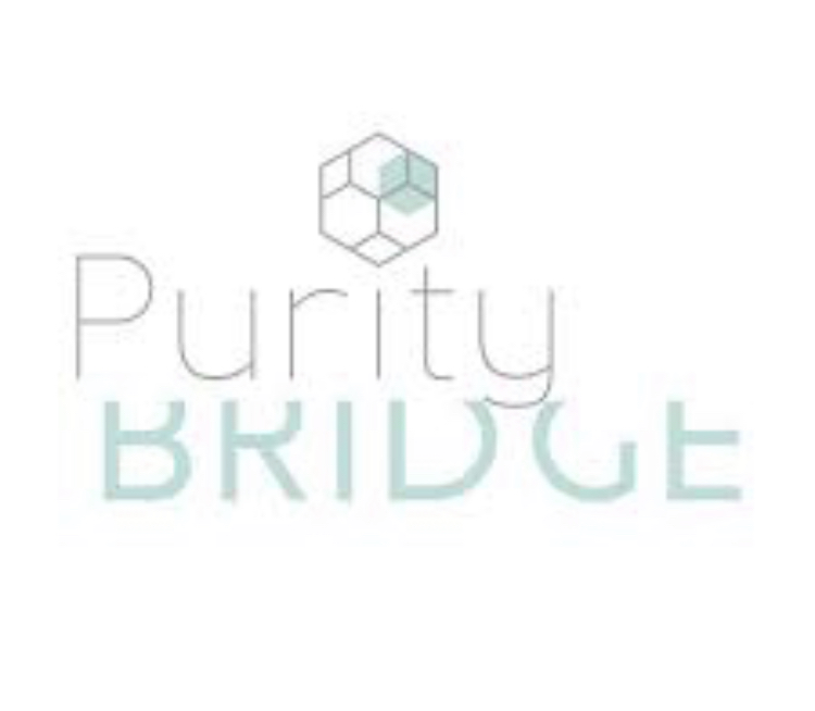 A Purity Bridge personalised assessment with 4 facial peel treatments