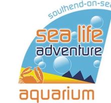 Sealife Adventure