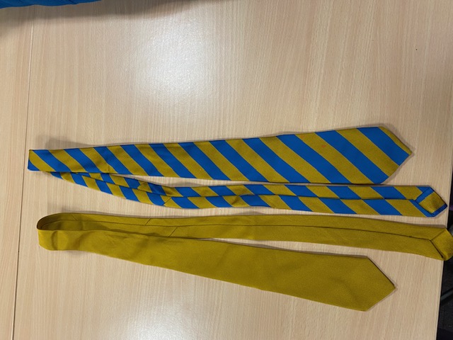 Year 6 gold ties