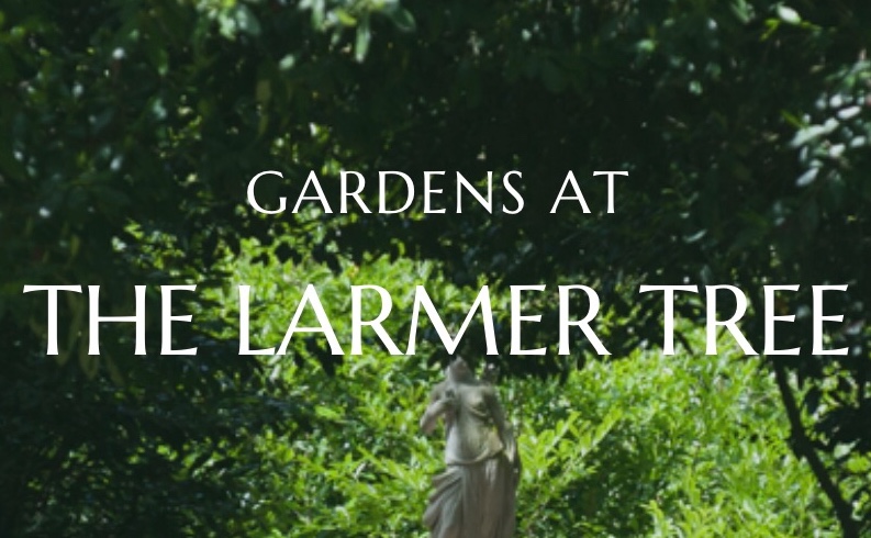 Larmer Tree - Entry for 4